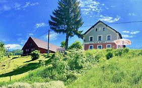 Penzion Dolni Morava
